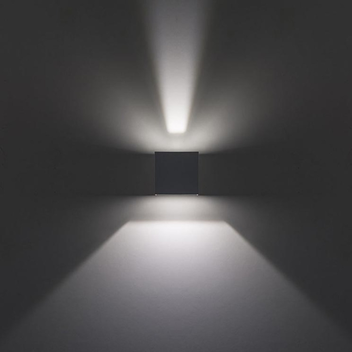 Forlight REX Aplique Exterior LED con Haz de Luz Modulable IP54 5,2W 3000K 244Lm Blanco