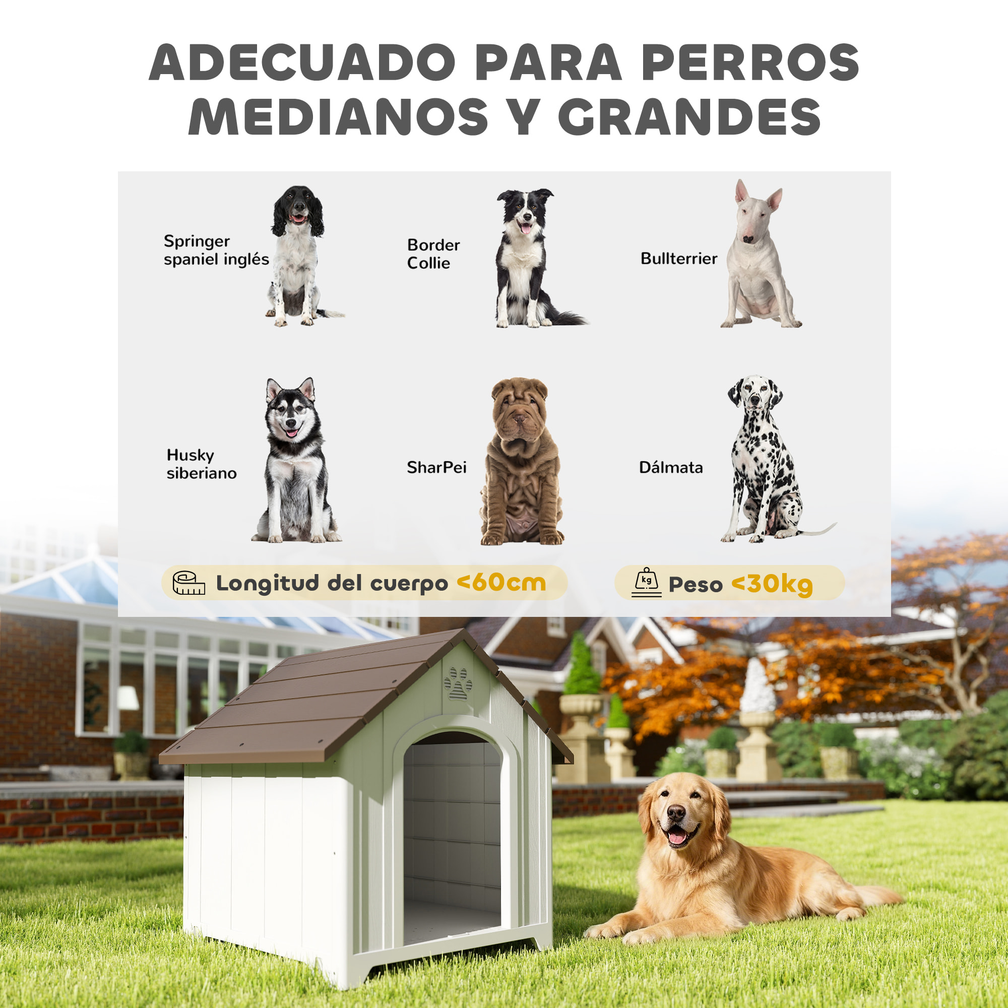 Caseta para Perros Exterior, Casa para Perros Grandes de Plástico Impermeable con 2 Ventanas, Base Elevada, Estacas, Fácil de Montar, 88x79x89 cm, Marrón Oscuro