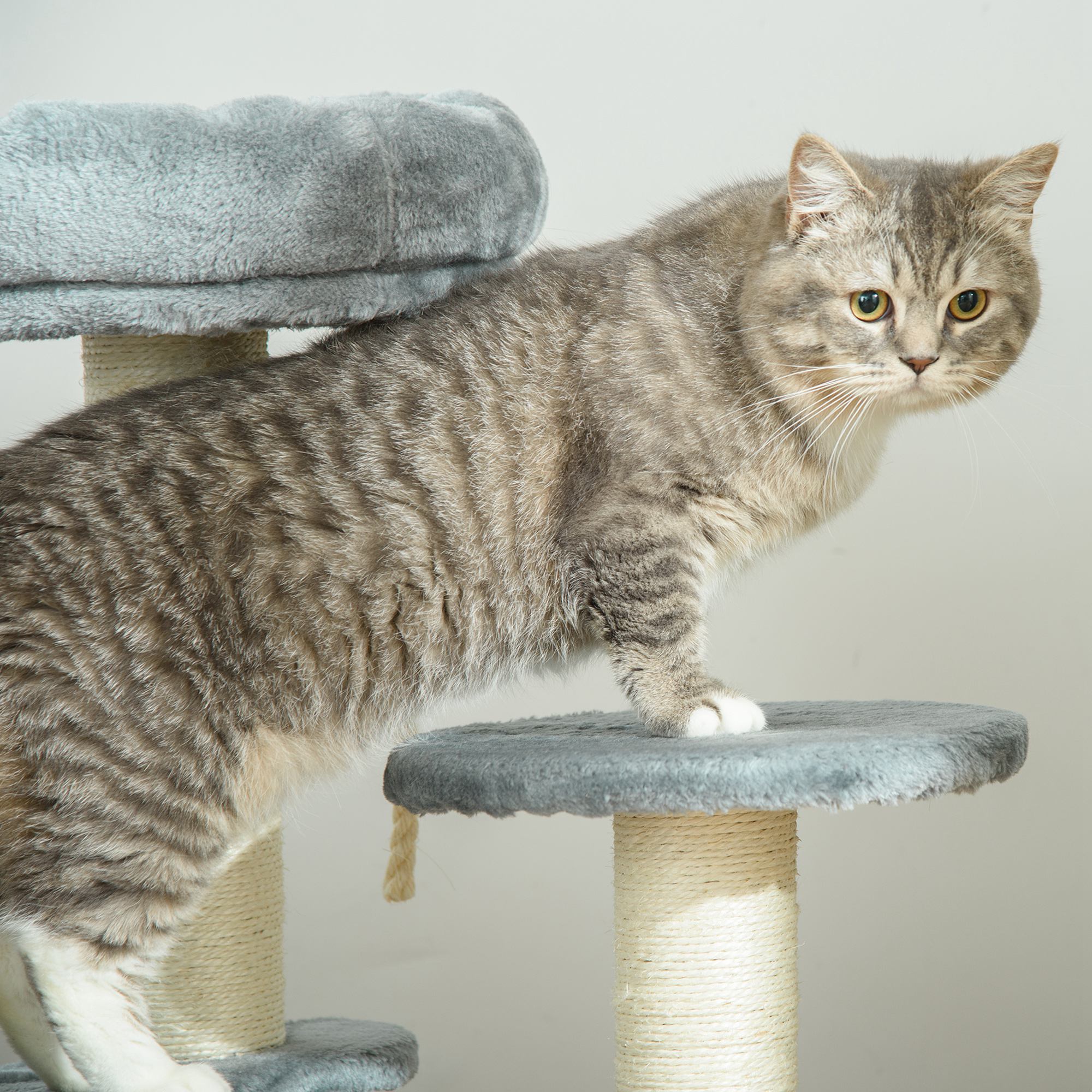 árbol Rascador para Gatos de Felpa y Sisal ÃÂ¤40x65cm Gris