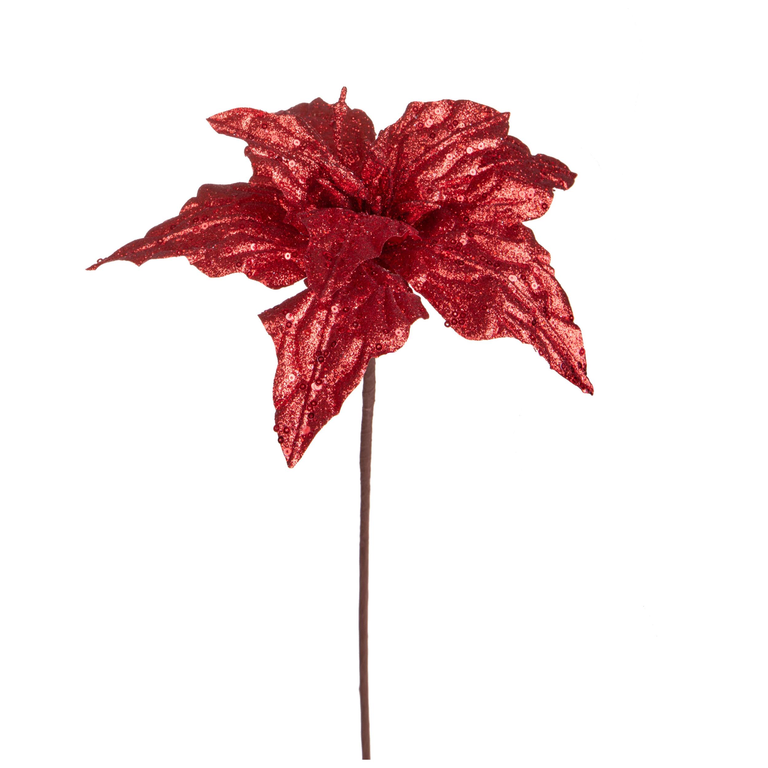 Stella natale - Pezzi 12 - 25xH50x25cm - Bianchi Dino SpA