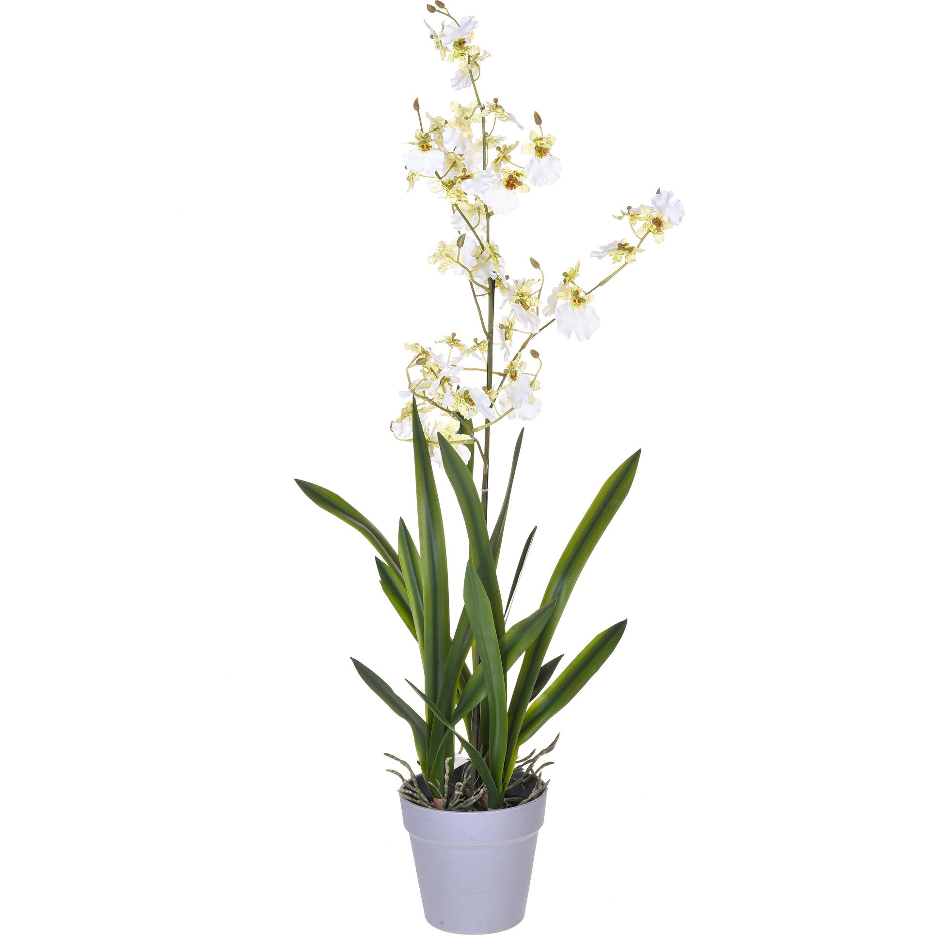 Orchidea Oncidium Con Vaso. Altezza 40 Cm - Pezzi 1 - 16X40X14cm - Colore: Bianco - Bianchi Dino - Piante Artificiali