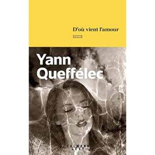 Queffélec, Yann | D'où vient l'amour | Livre d'occasion