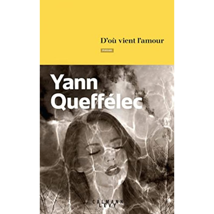 Queffélec, Yann | D'où vient l'amour | Livre d'occasion
