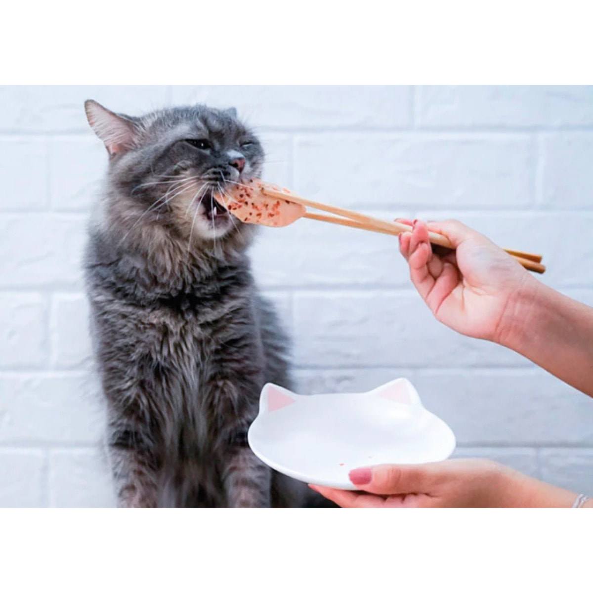 Kit Cat FilletFresh - Caballa a la parrilla 30 g Snack natural para gatos