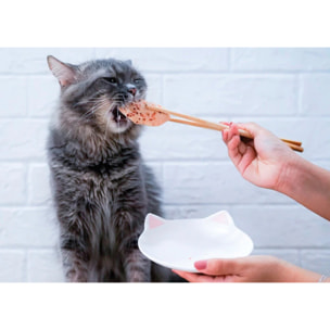 Kit Cat FilletFresh - Caballa a la parrilla 30 g Snack natural para gatos
