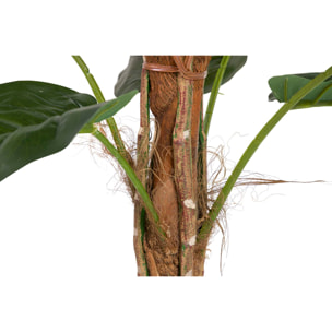Planta Artificial Rhadhidophora Aureum 65x65x140 Cm