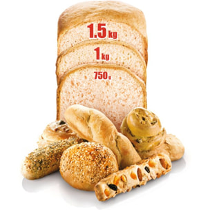 Machine à pain MOULINEX pains du monde OW611810