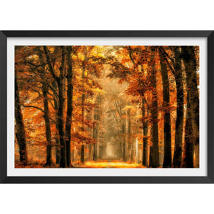 Affiche paysage magie de l' automne Affiche + cadre en bois - Noir
