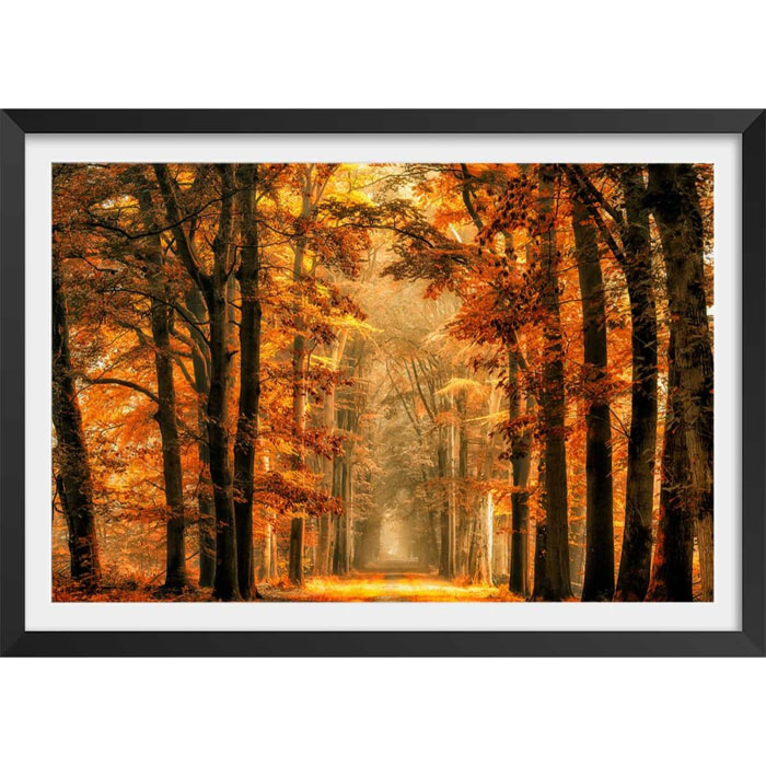 Affiche paysage magie de l' automne Affiche + cadre en bois - Noir