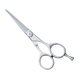 Forbici Sabbiato 5,5