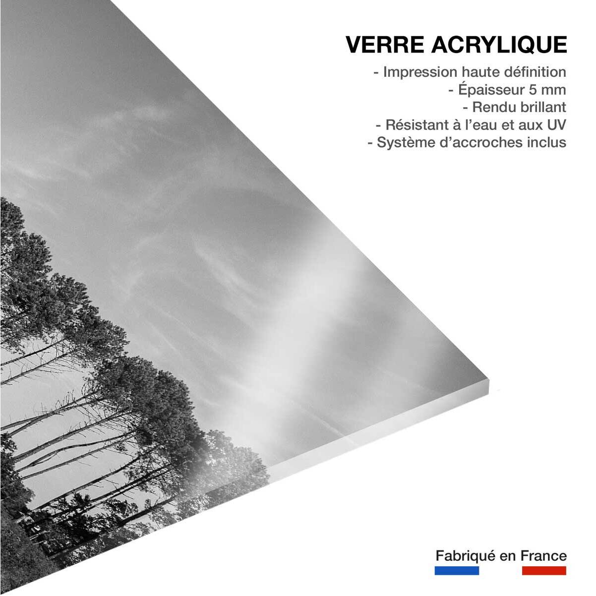 Tableau noir et blanc pinède d' hossegor Tableau plexiglas