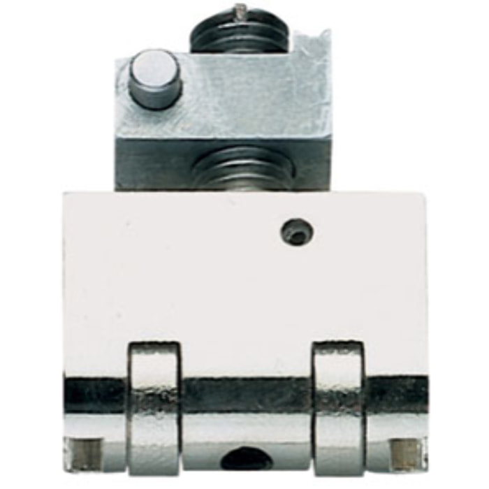 Rouleau seul pour Blindo et Multiblindo ISEO - axe 40 mm - 040804