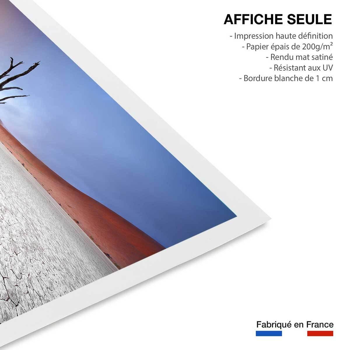 Affiche de Namibie, Le deadvlei Affiche seule