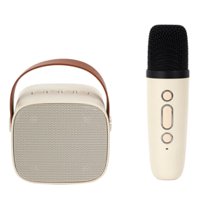 Enceinte Et Micro Karaoke Design 5w