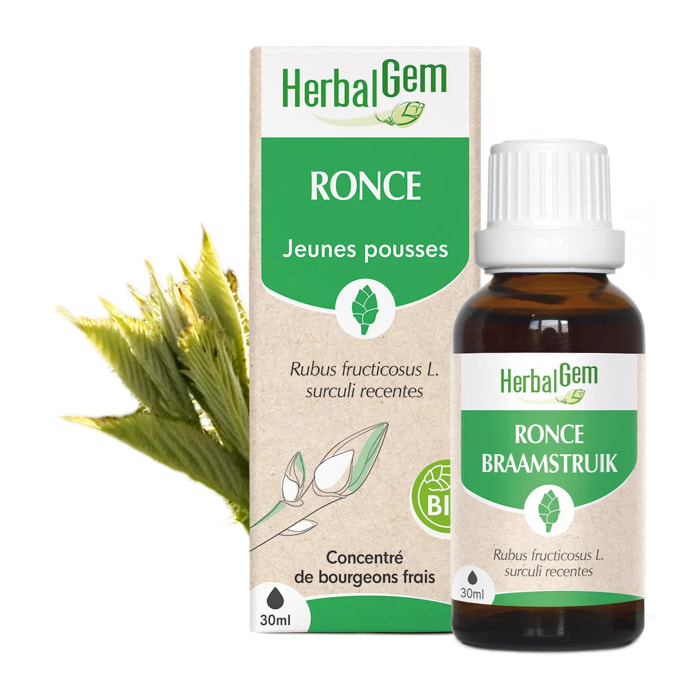 Herbalgem- Bourgeon de Ronce - Bio - 30 ml