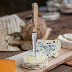 Lot de 6 couteaux à steak en acier inoxydable