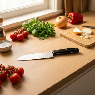 Couteau Santoku 26 cm Nirosta Fit