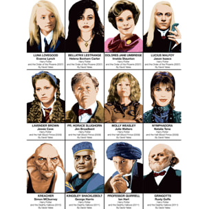 Affiche - Harry Potter Characters - Olivier Bourdereau