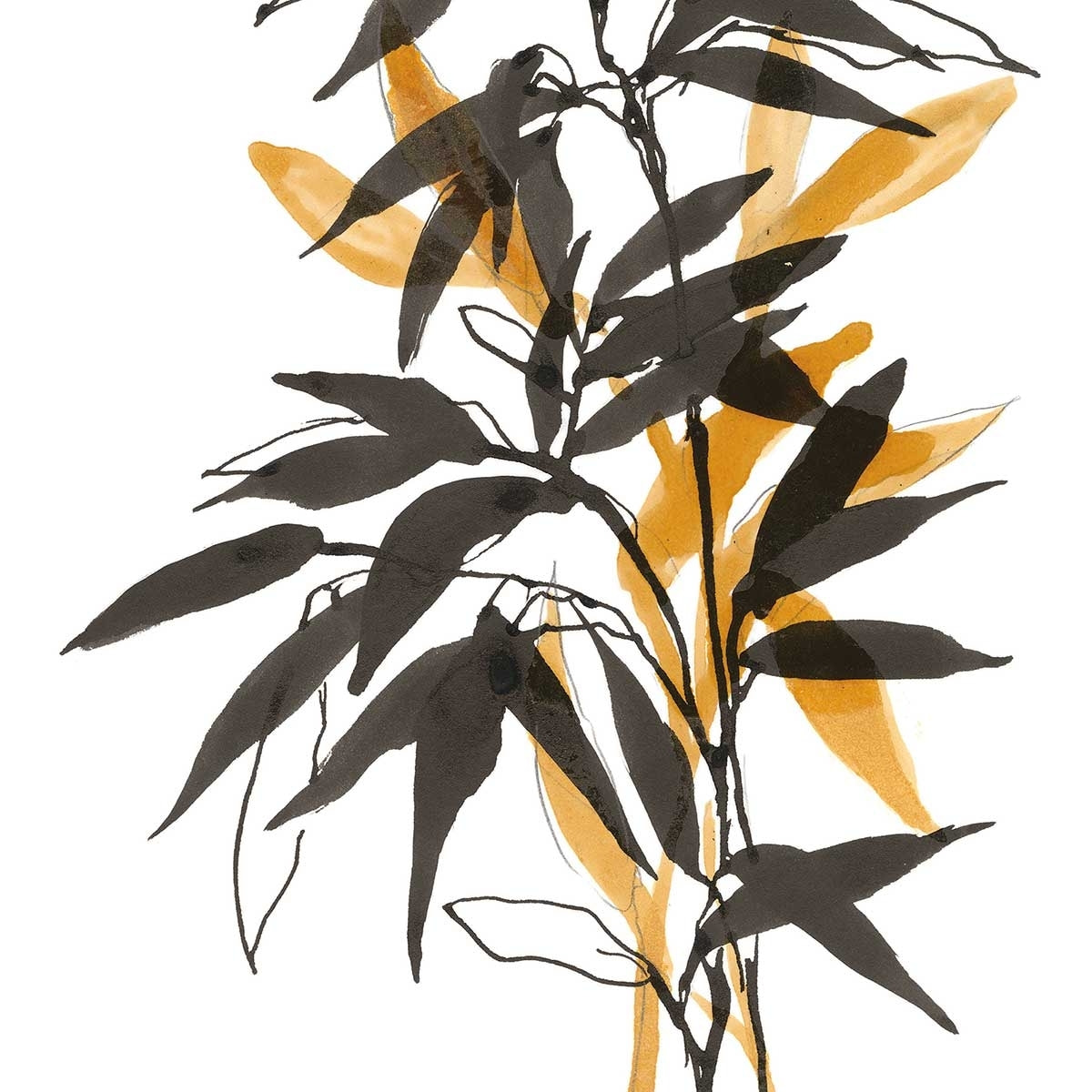 Poster orange bambou Affiche sous cadre bois
