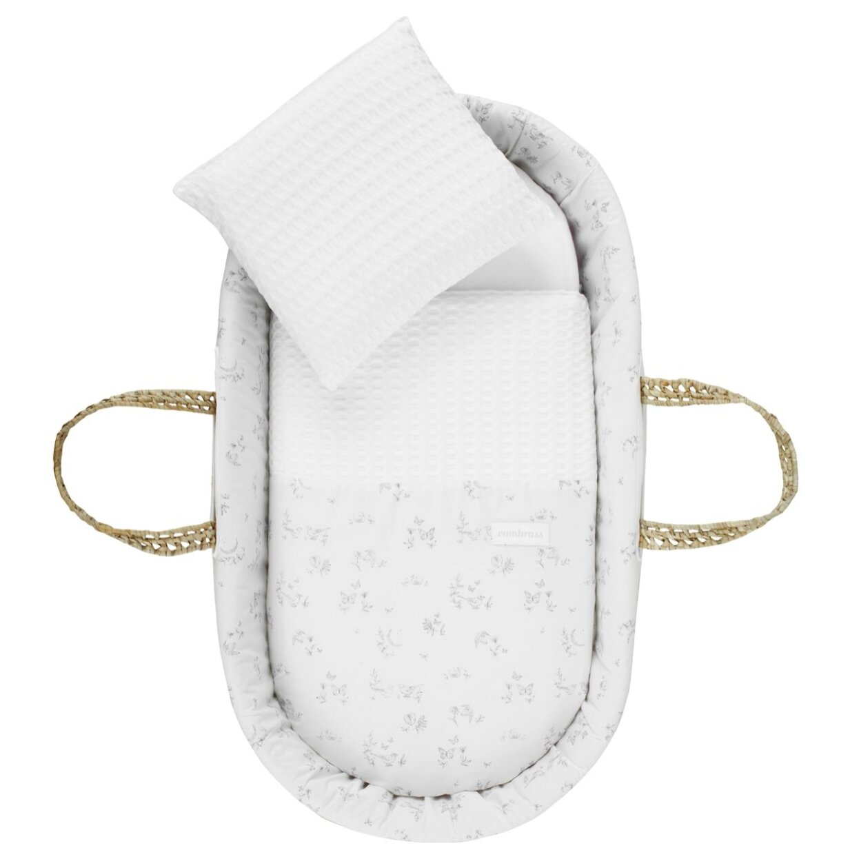 Cambrass Moises Palma Acolch+Pata M.Nat Merlo