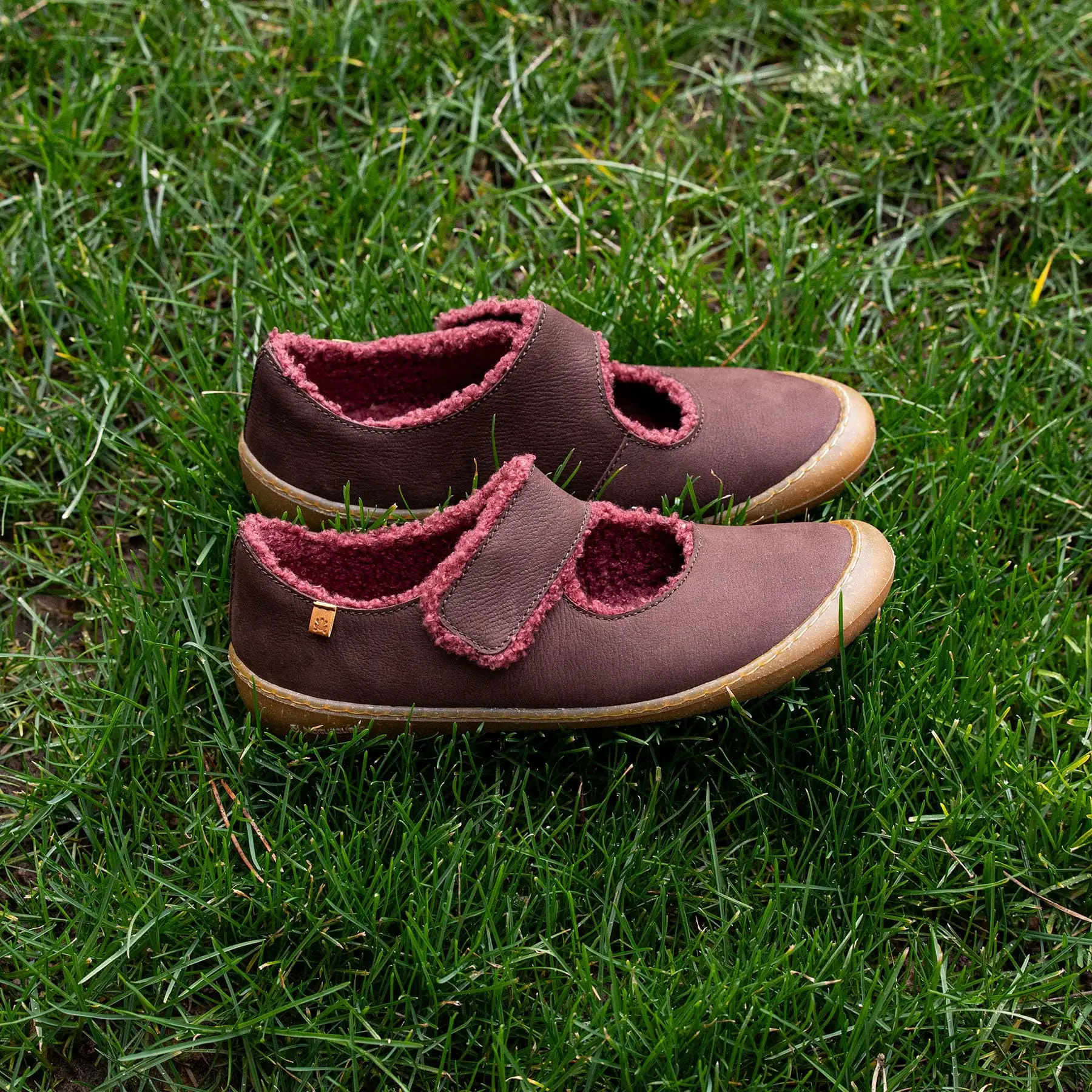 Bailarinas N5739 PLEASANT BROWN/ PAWIKAN color Brown