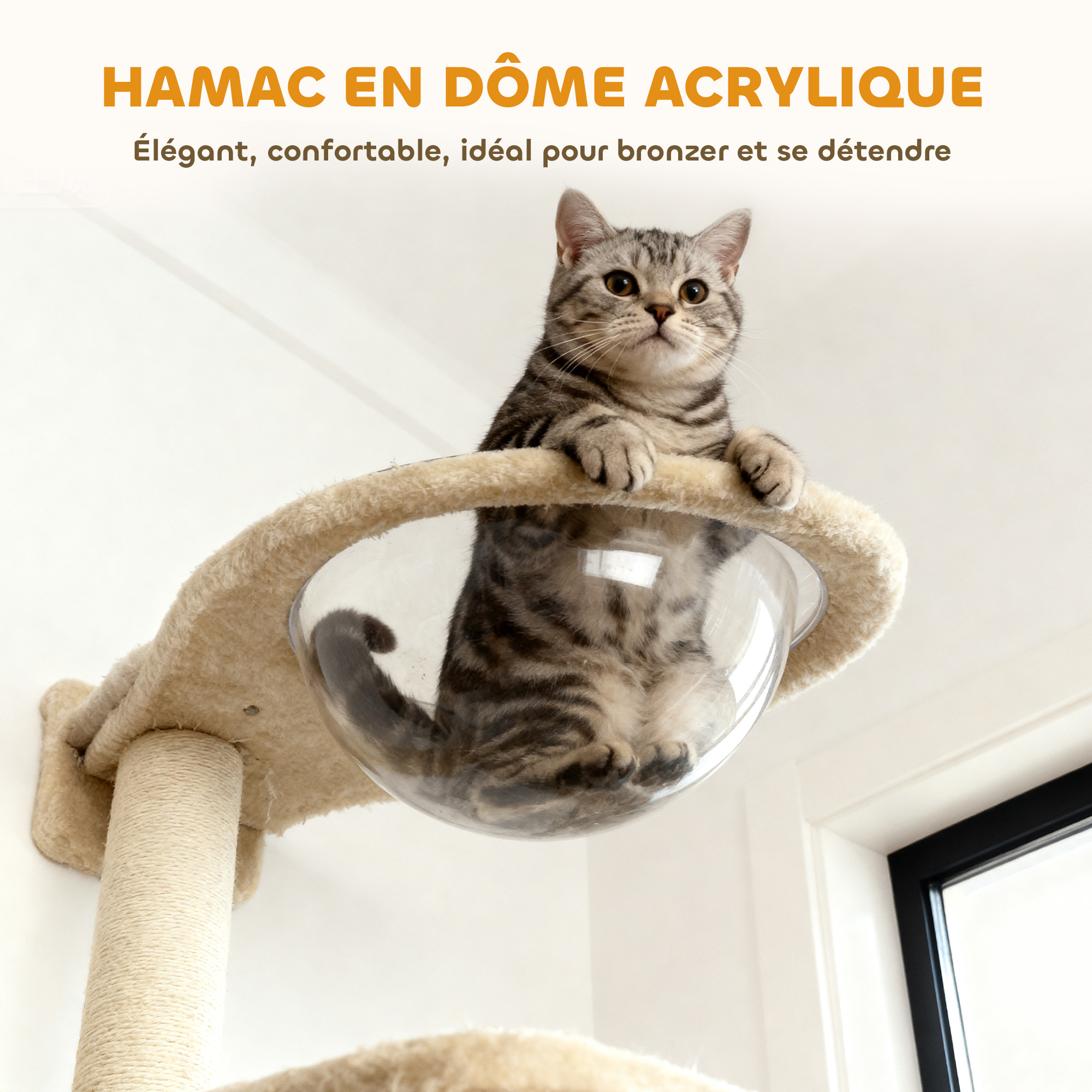 Arbre à chat design mural - parcours mural en bois pour chat 6 pièces variées - crème gris