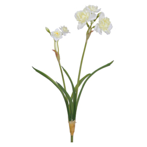 Narciso Con 2 Fiori. Altezza 67 Cm - Pezzi 6 - 21X67X11cm - Colore: Altro - Bianchi Dino - Fiori Artificiali