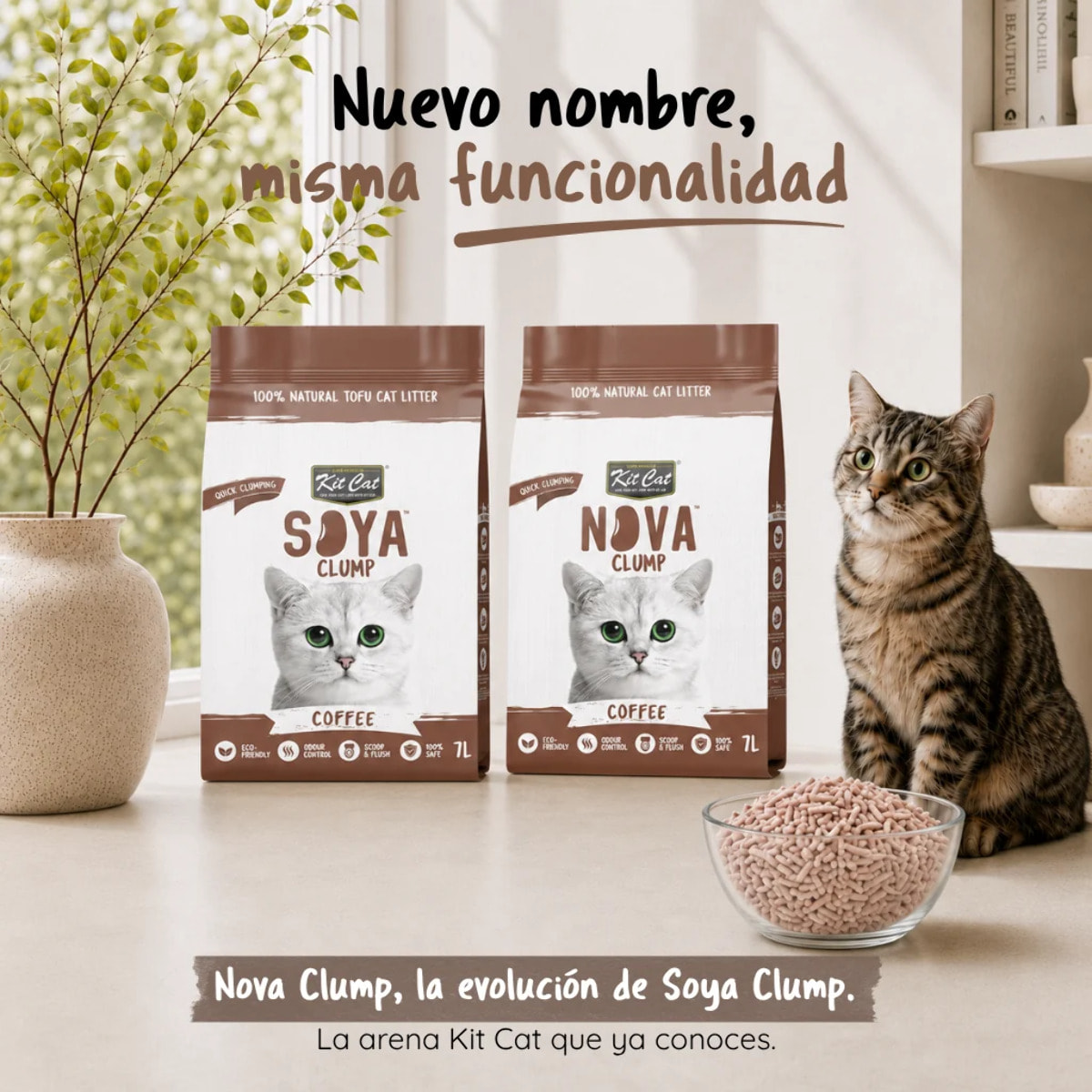 Kit Cat Arena Eco Nova - Coffee 7 L Arena para gatos