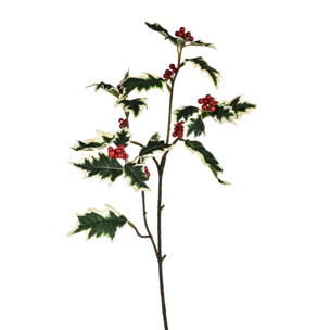 Agrifoglio - Pezzi 24 - 12xH69x13cm - Bianchi Dino SpA