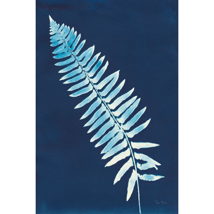 Tableau fleurs Fougère bleue Tableau plexiglas