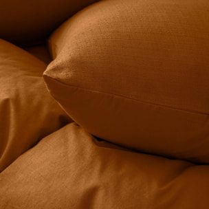 Parure de lit 3 pièces en coton tissage épais housse + taies - Marron Clair