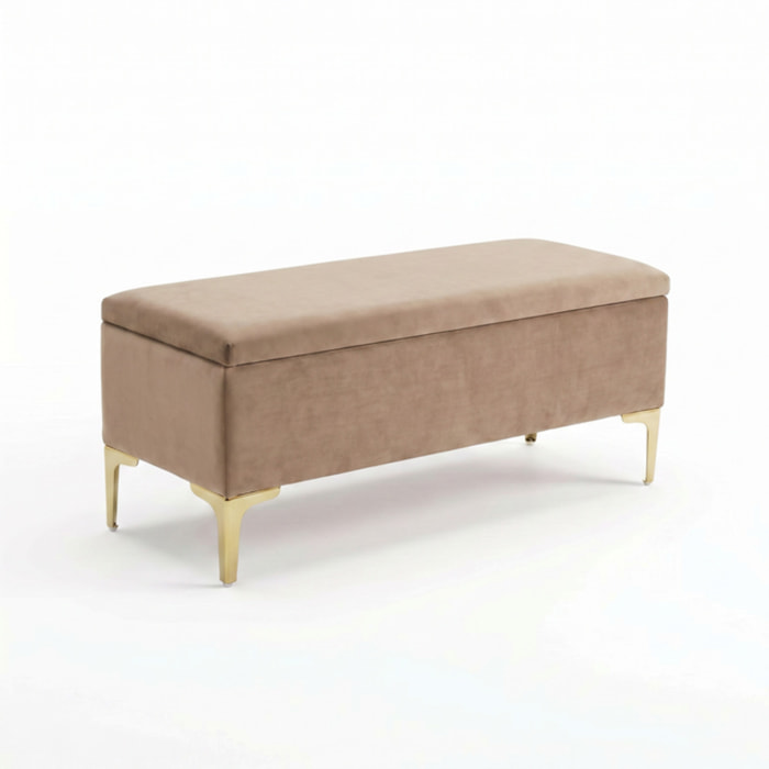 Panca Contenitore in Effetto Velluto con Ampio Vano Portaoggetti, Seduta Imbottita e Gambe in Acciaio, Design Moderno per Camera da Letto, Ingresso e Soggiorno