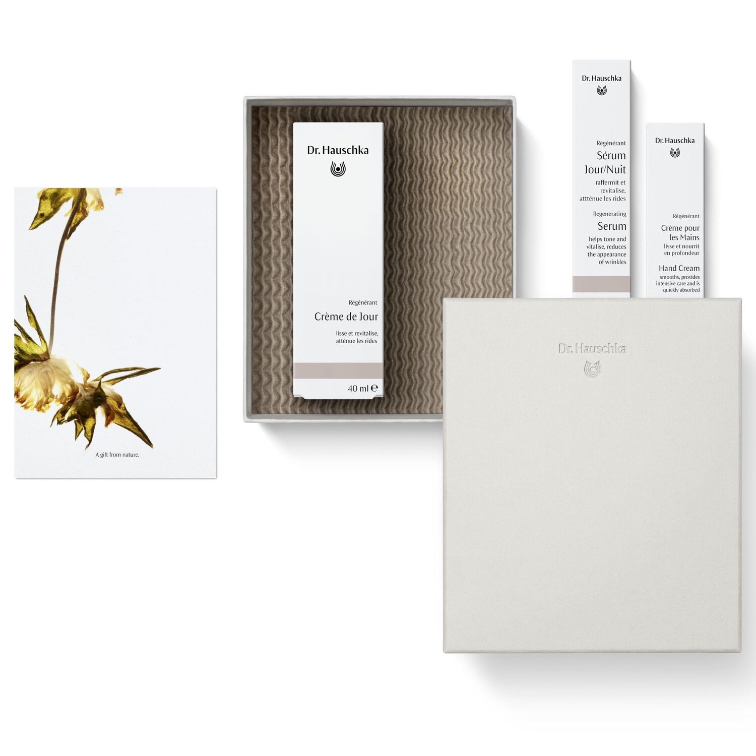 Éclat Intemporel - Coffret Crème de Jour Régénérant 40ml + 2 Produits