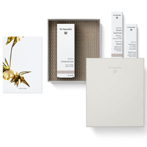Éclat Intemporel - Coffret Crème de Jour Régénérant 40ml + 2 Produits