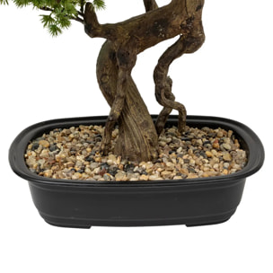 Bonsaï artificiel "Polin" pot en céramique H86cm