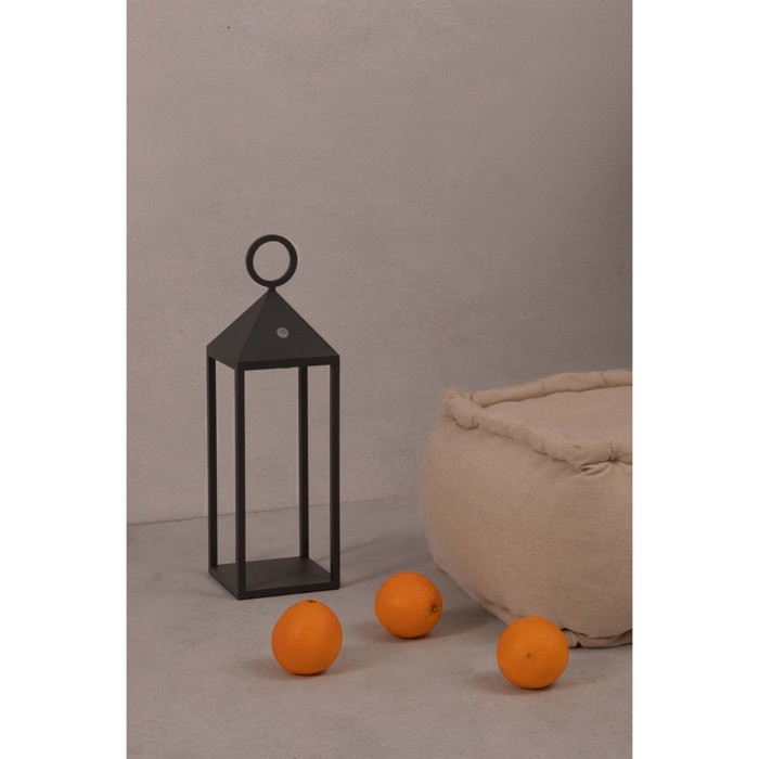 ARGUS LED Lampe portable gris foncé