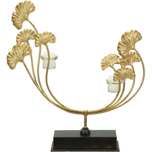 P/CAND GLAM IRIS CM 50X12X55