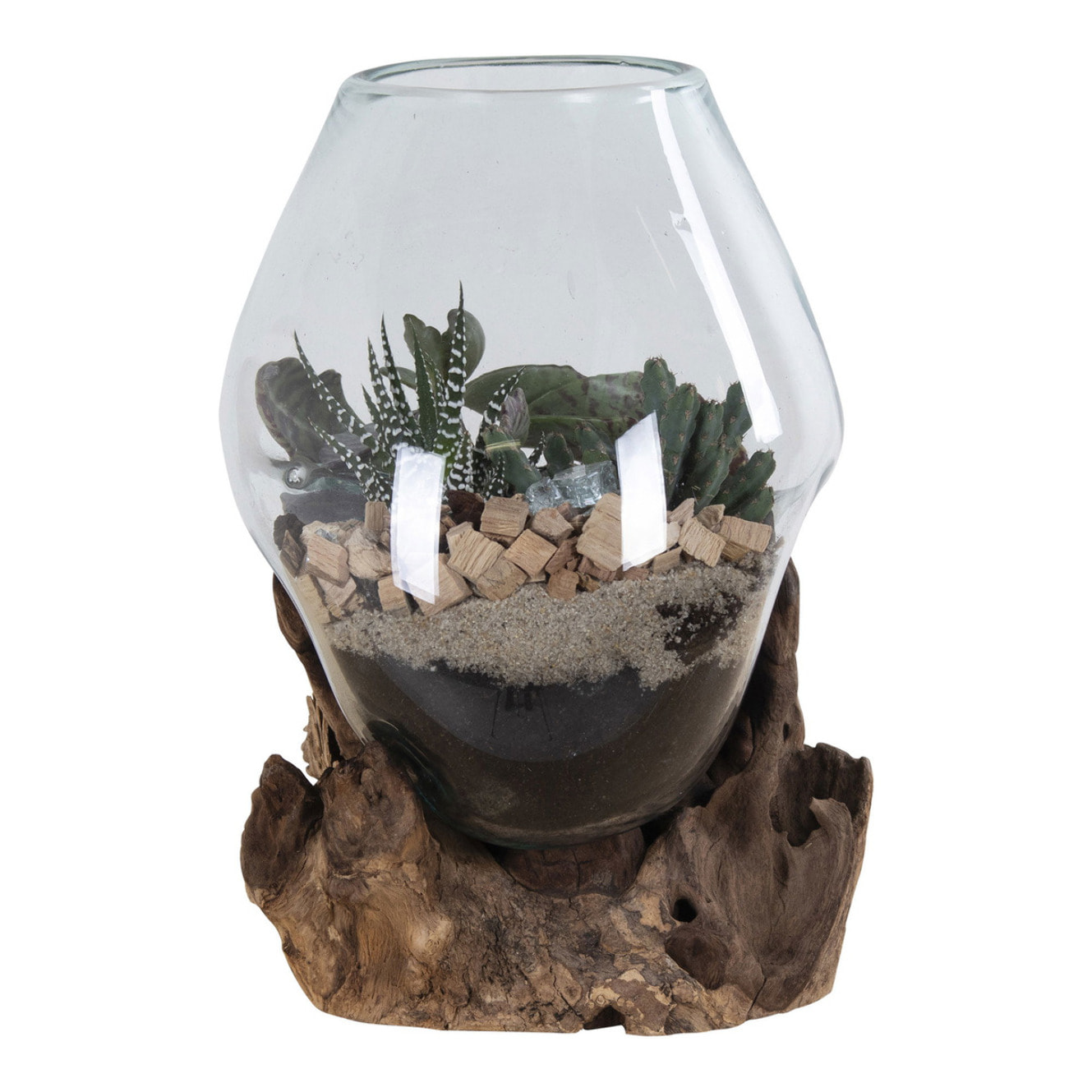 Terrario San Marino in vetro a cupola su base in radice di teak 18x20 cm
