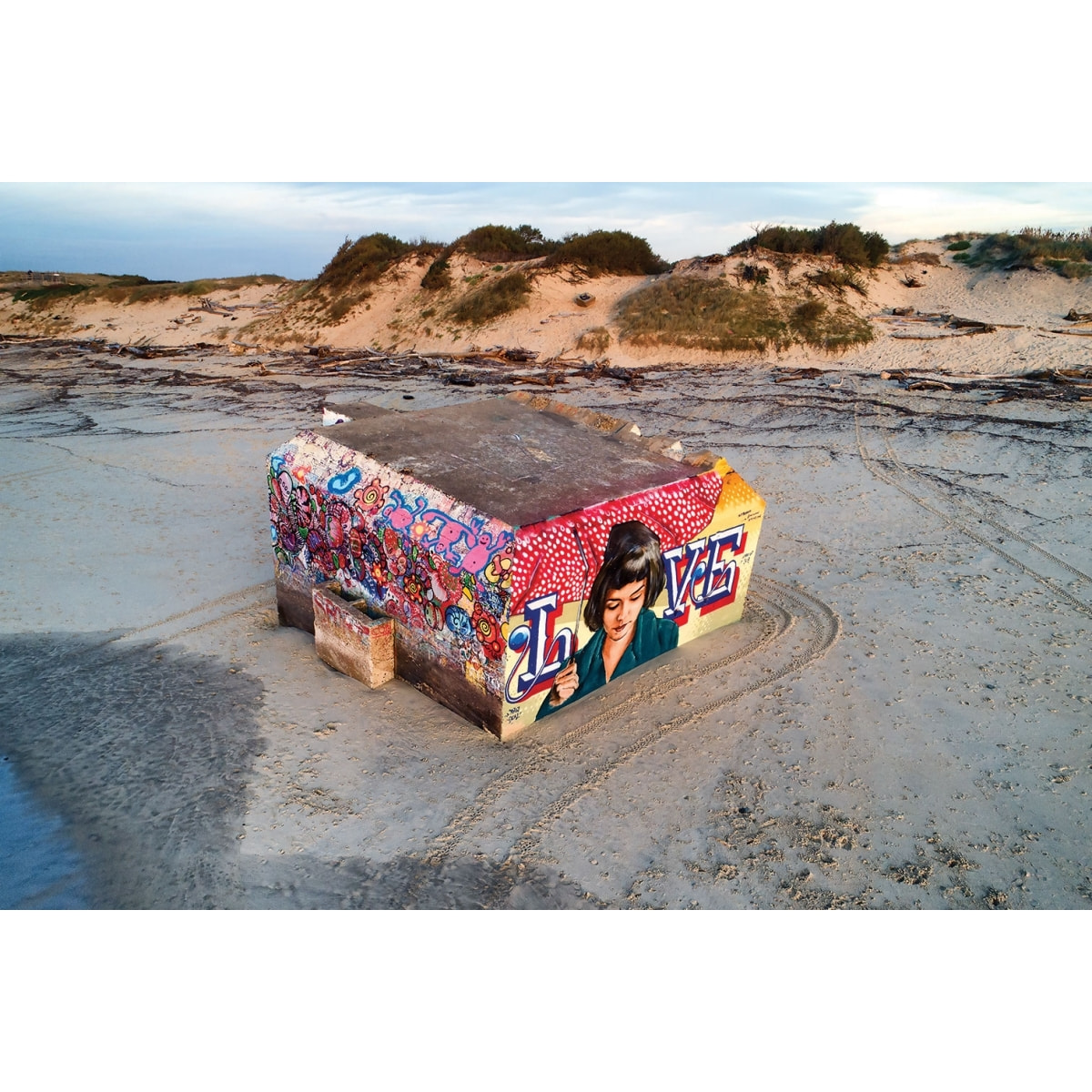 Tableau blockhaus art love Tableau alu Dibond