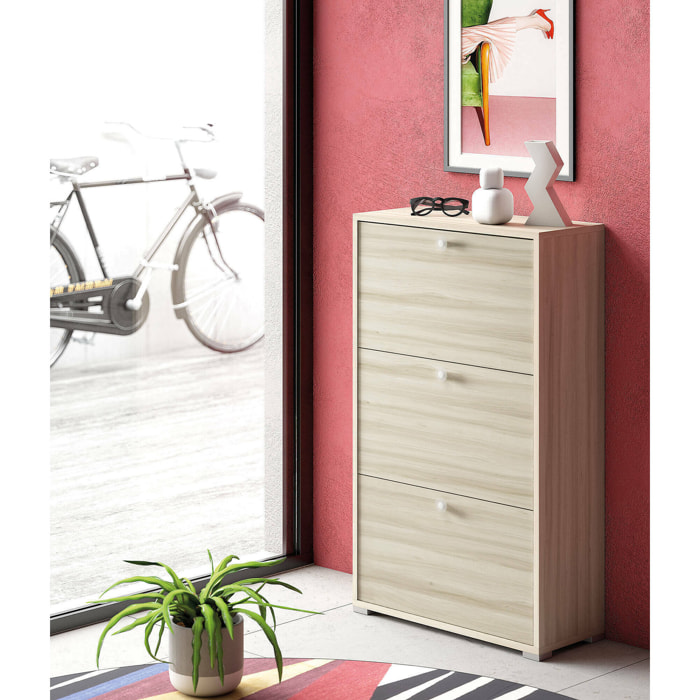 Scarpiera Axinite, Mobile multiuso da ingresso con 3 ante a ribalta, Armadietto portascarpe a doppia profondità, 100% Made in Italy, 67x28h112 cm, Olmo