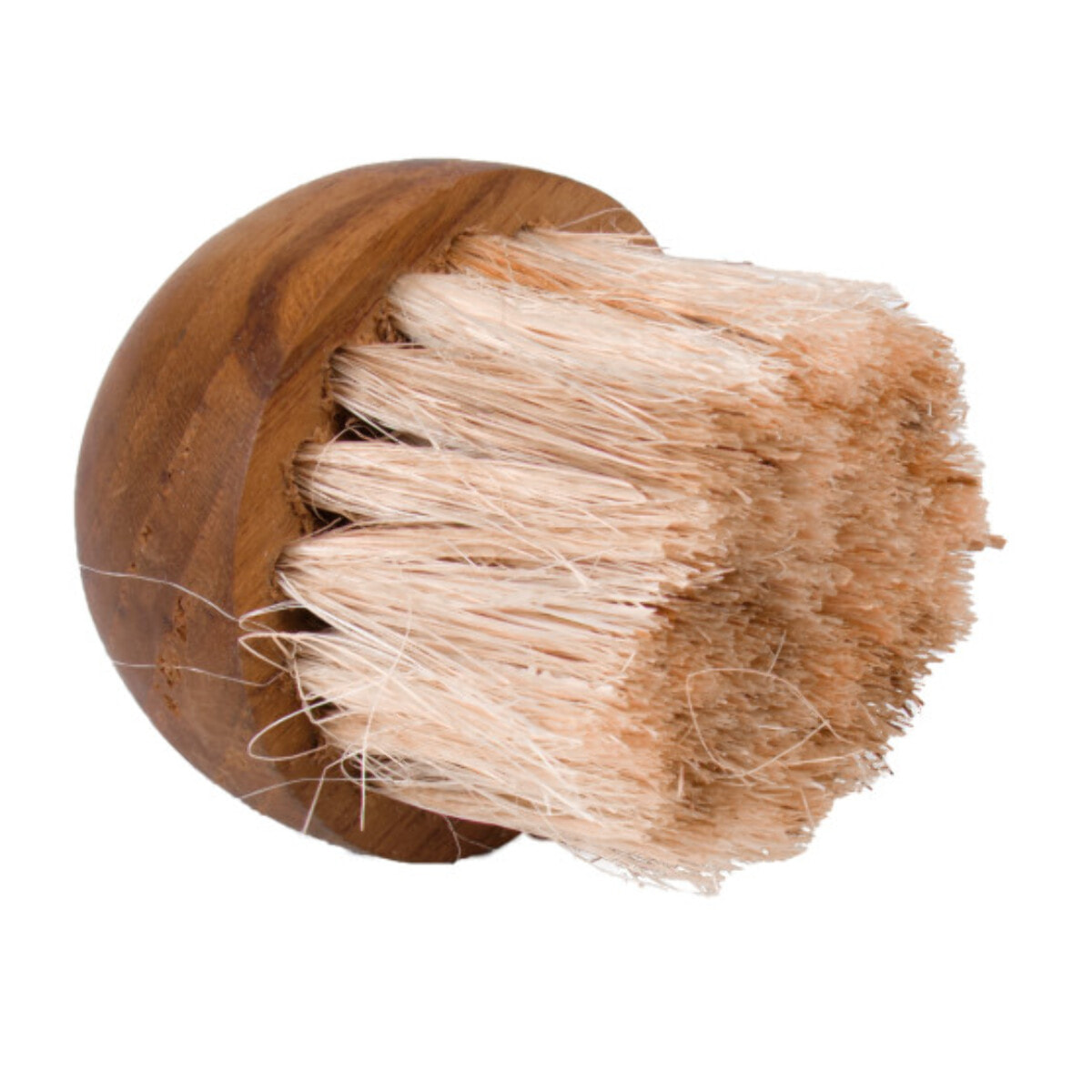 Brosse à champignons ronde à poils doux et bois de teck - AYA