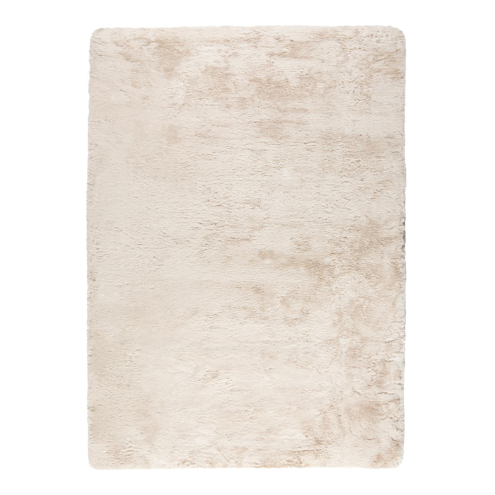 Tapis Eddy