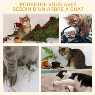 Arbre à chat avec griffoir centre d'activités 2 plateformes coussin gris