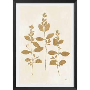 Affiche fleurs Recolte d'or Fresca Affiche + cadre en bois - Noir