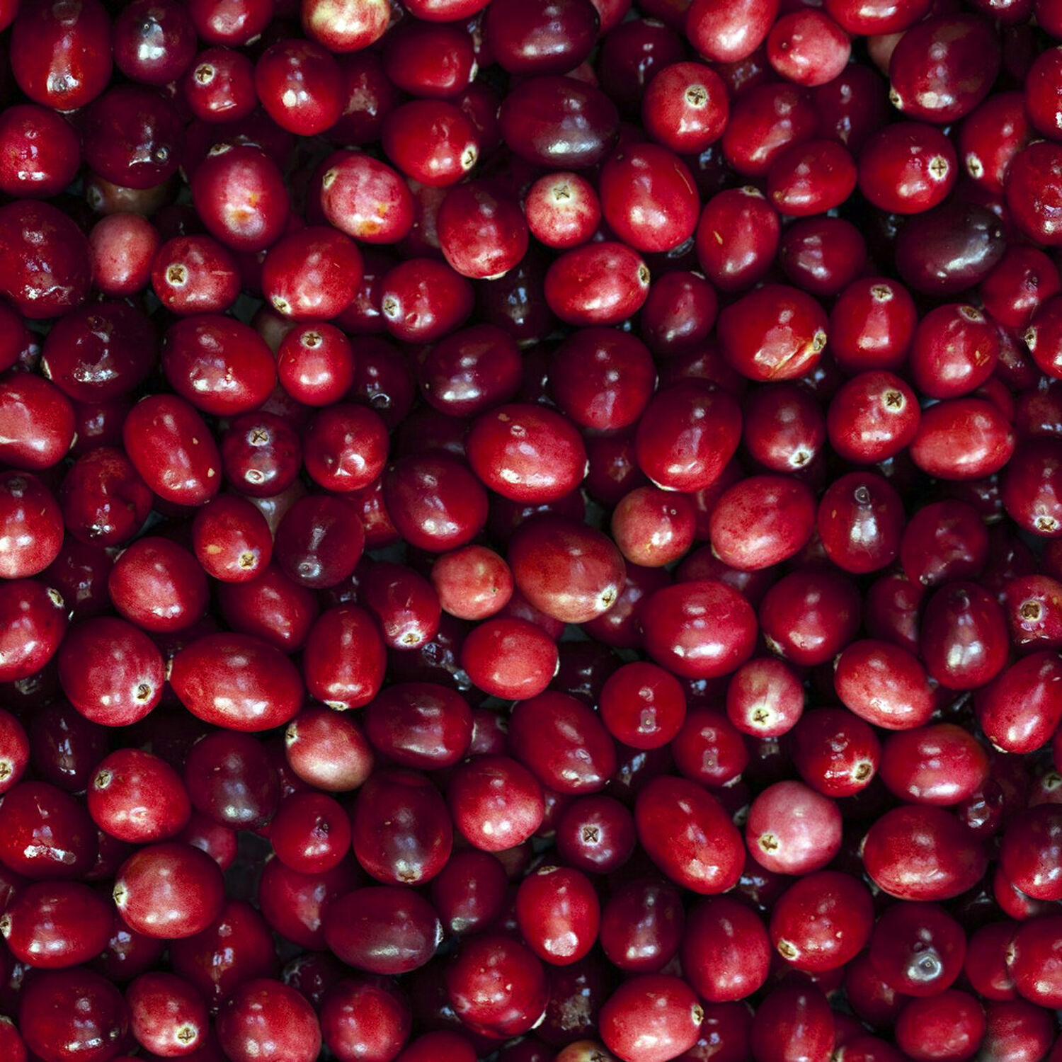 Big Pony - Eau de Toilette