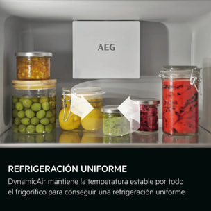 AEG Frigorífico 1 puerta integrable de 1772 mm TK6DS181ES