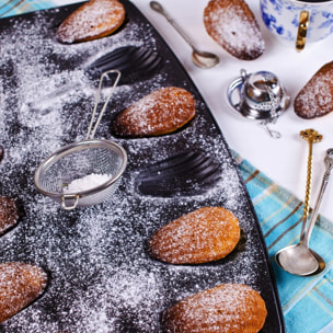 Lot de 2 moules à madeleines 12 empreintes Zenker Spécial Countries