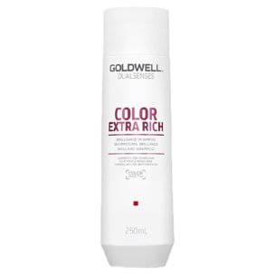 GOLDWELL DS Color Extra Rich Brilliance Shampoo 250ml