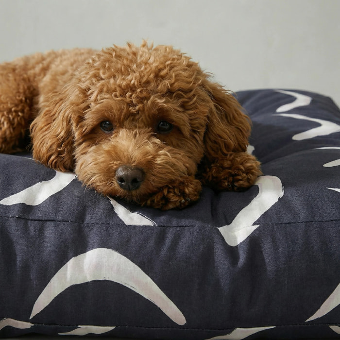 Lit pour animaux antitaches Calella Bleu