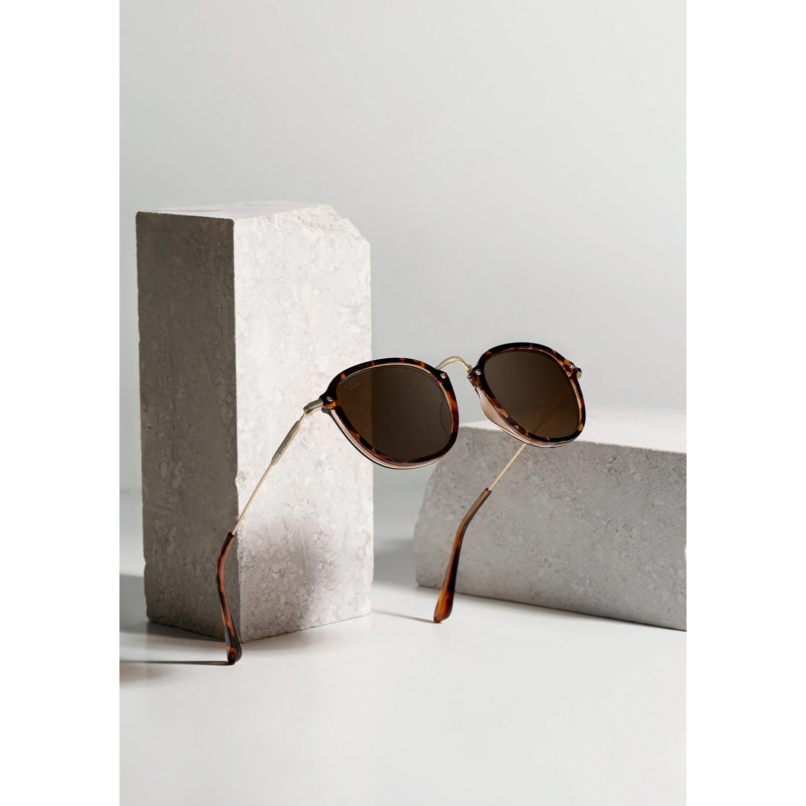 Gafas de Sol Roller SQ Carey / Brown D.Franklin